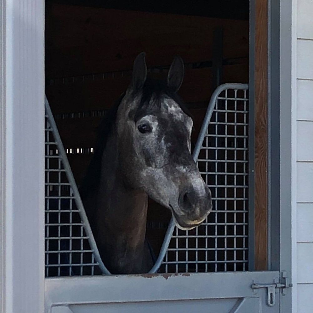 Meet your Posher, Linda